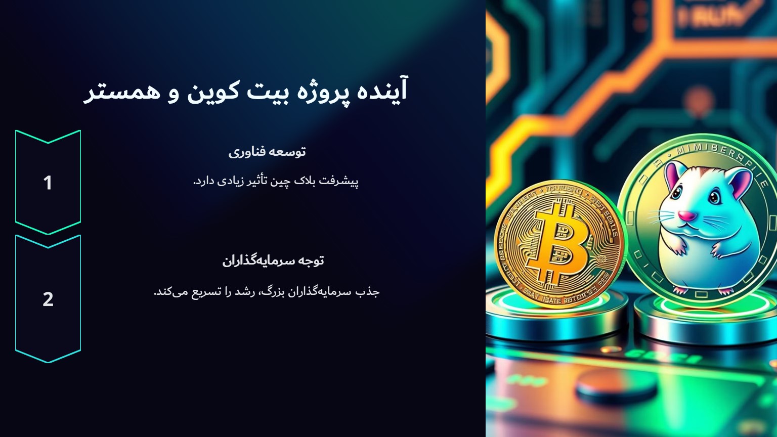 آینده پروژه بیت کوین و همستر