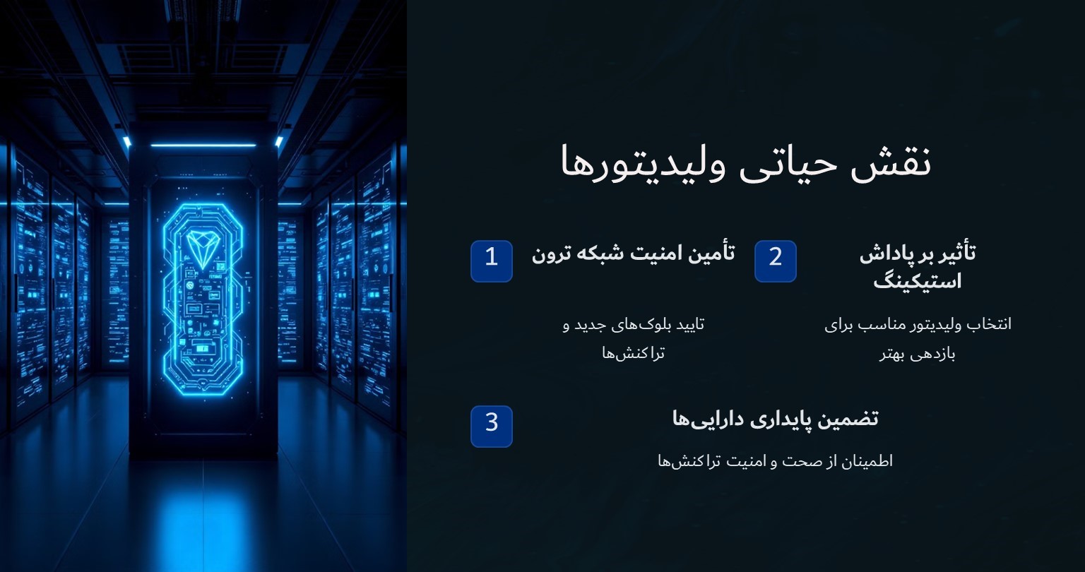 نقش حیاطی ولیدیتورها