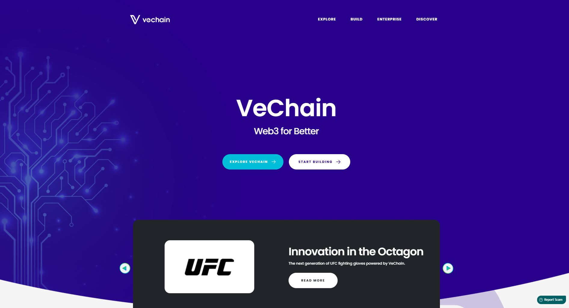 VeChain