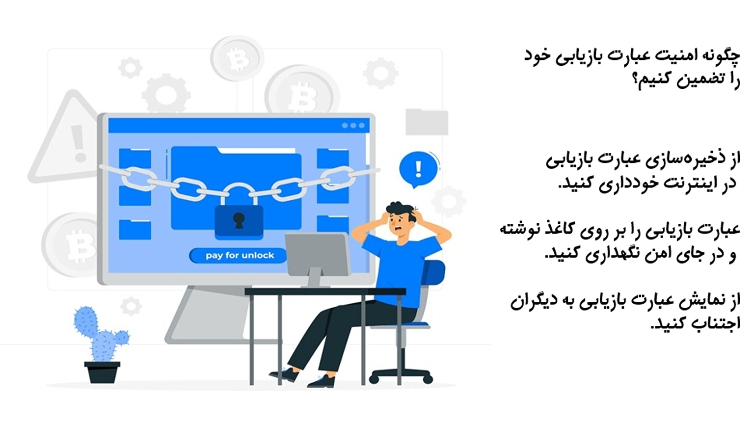 Wallet Recovery Methods Using Seed Phrase